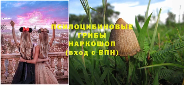 дурь Михайловск