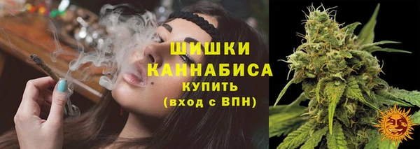 дурь Михайловск