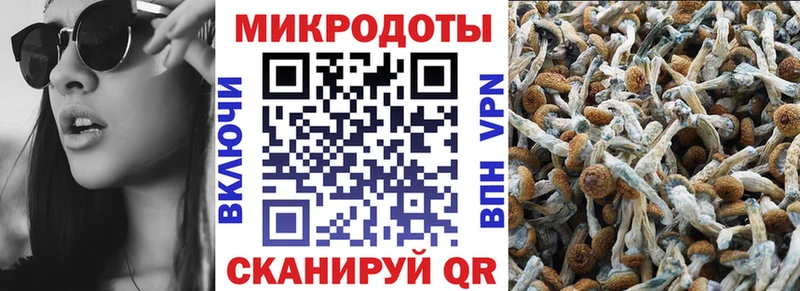 Галлюциногенные грибы Psilocybe  площадка формула  Дно  mega вход 