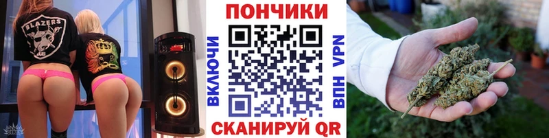 hydra   Дно  Марихуана сатива 